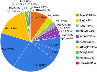 Risk analysis of intracranial aneurysm rupture based on the arterial segment of origin